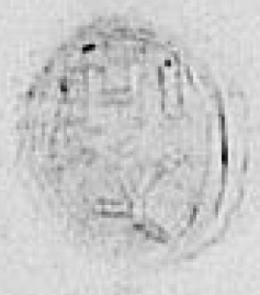 Eget segl benyttet 5. november 1623 (Vedlegg x til Fogderegnskap Moss 1623-24)